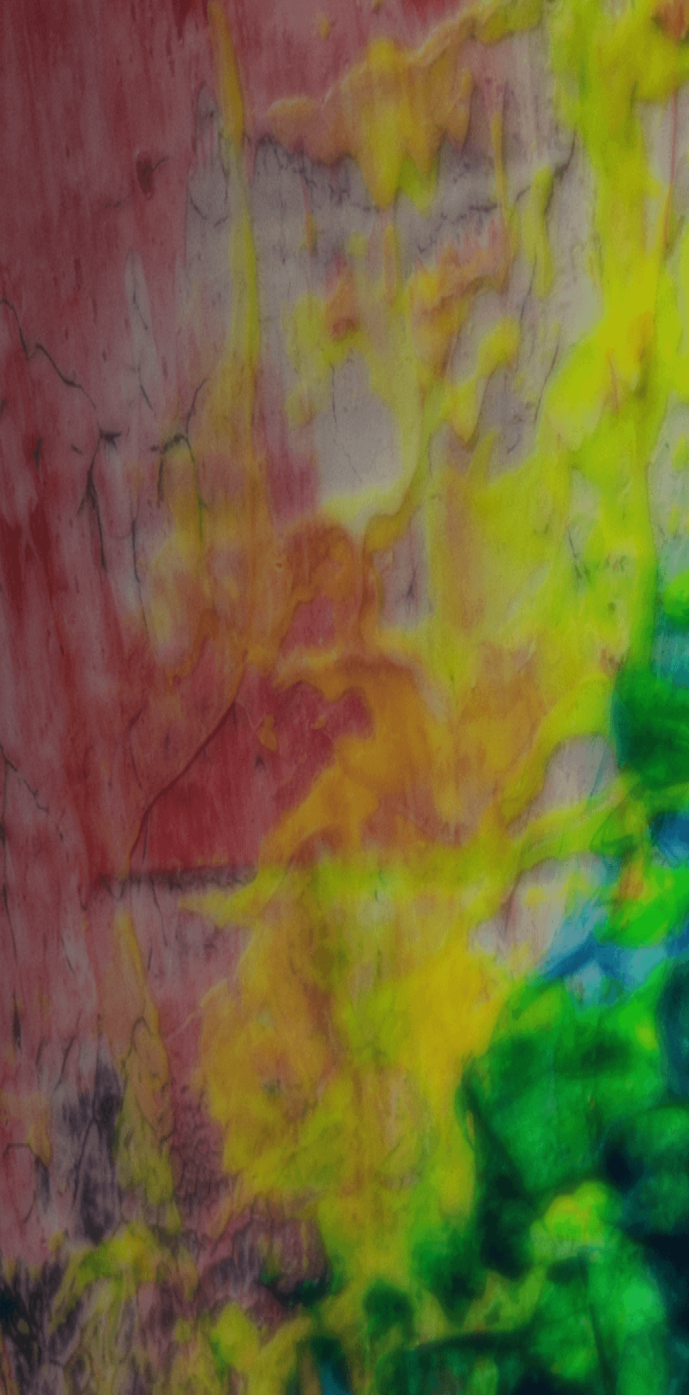 Talk Session Background